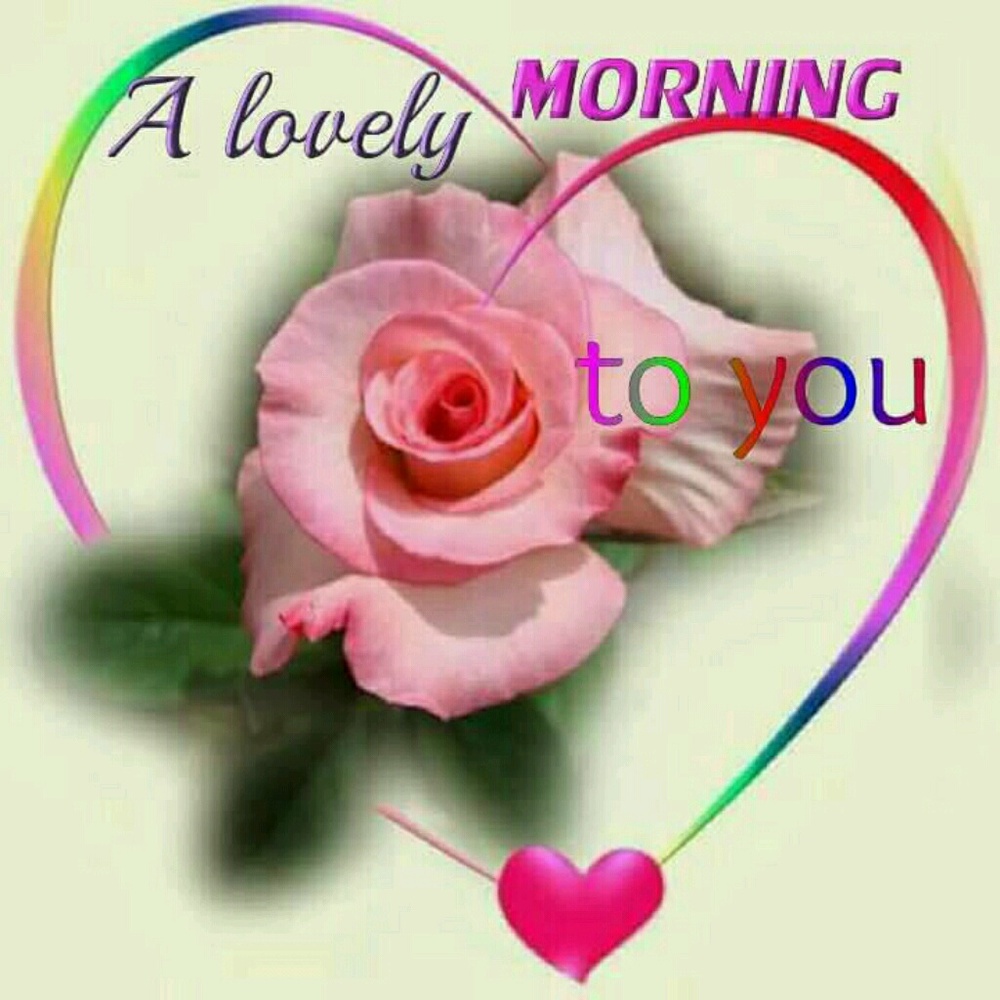 Meet your Posher, Audrey